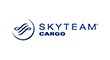 skyteam